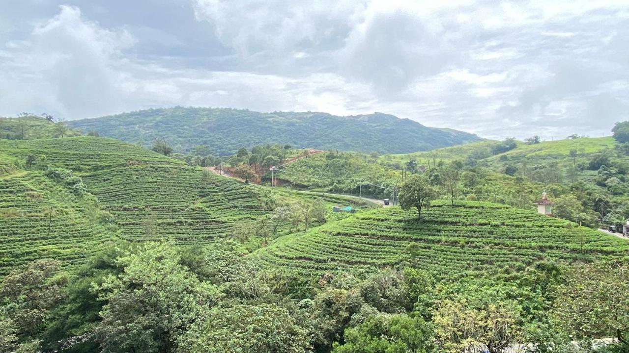 Homestay Hill Monk - Bethany Heights *