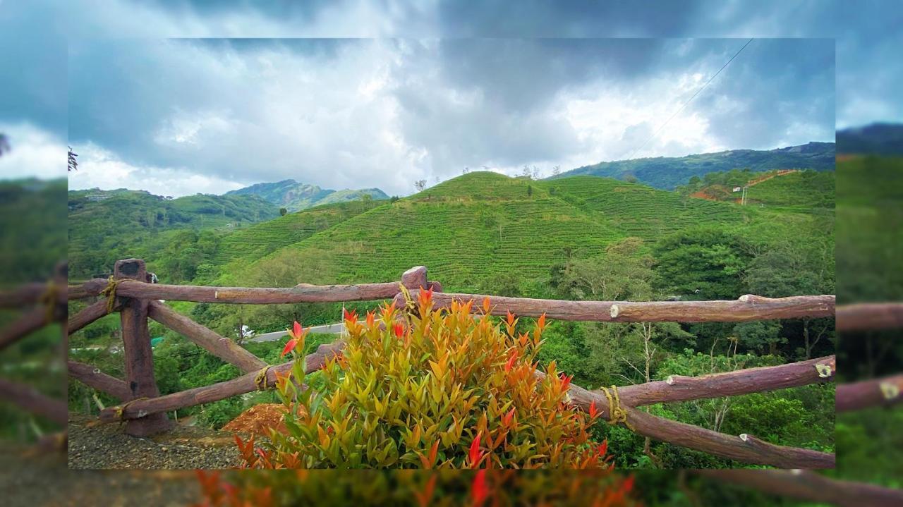 Hill Monk - Bethany Heights Homestay *
