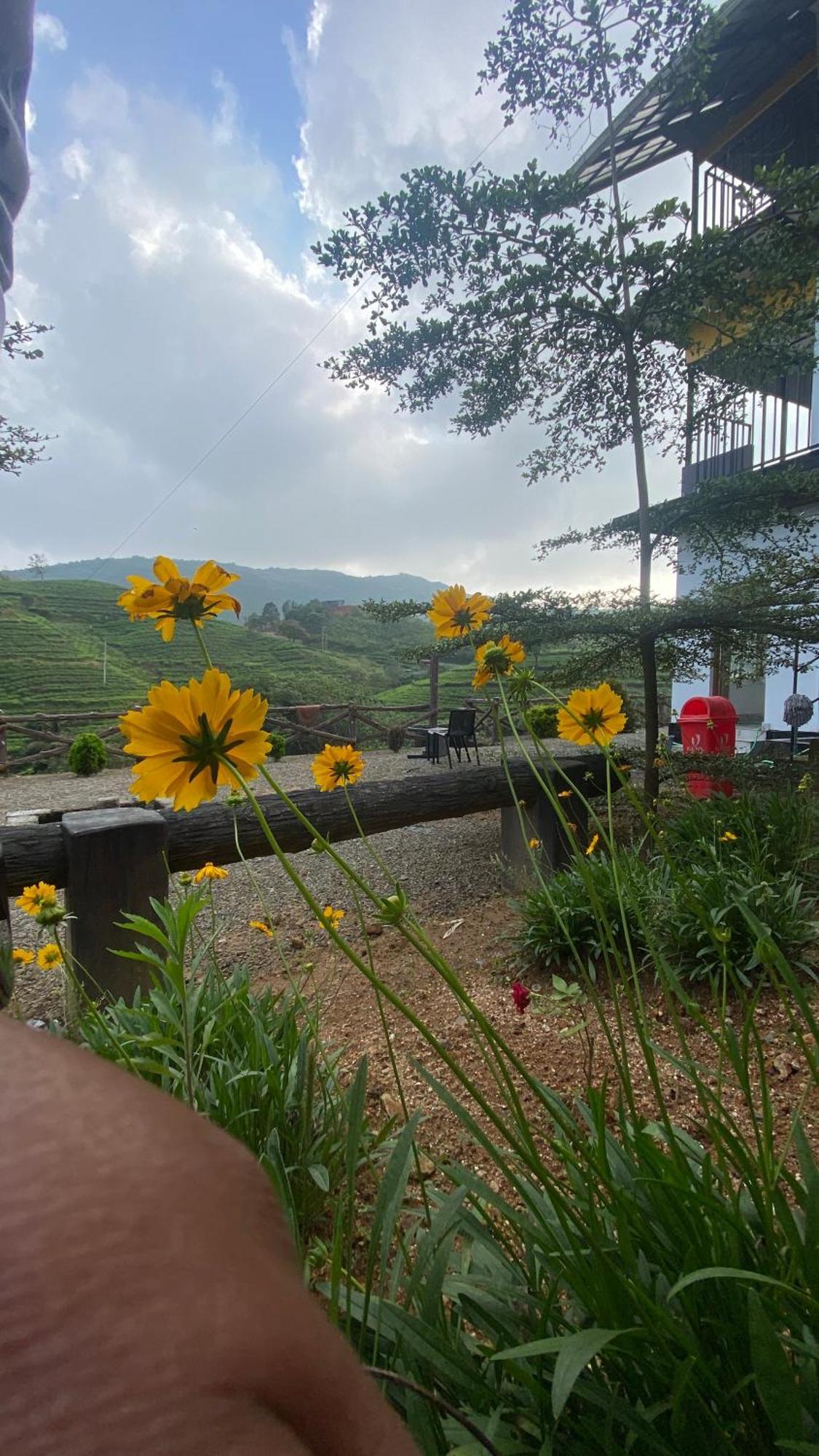 Hill Monk - Bethany Heights * Vagamon